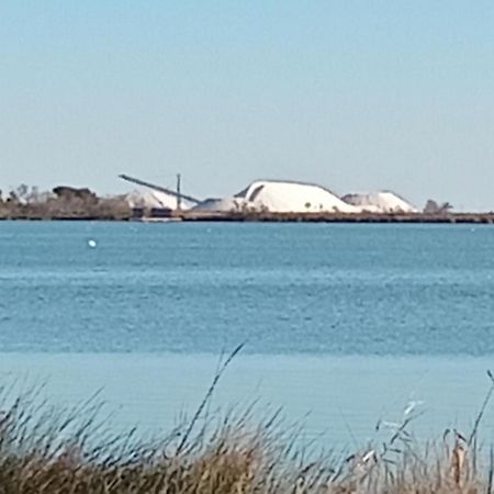 Aigues Mortes Studio De Vacances En Camargue ภายนอก รูปภาพ