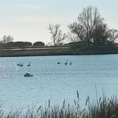 Aigues Mortes Studio De Vacances En Camargue ภายนอก รูปภาพ