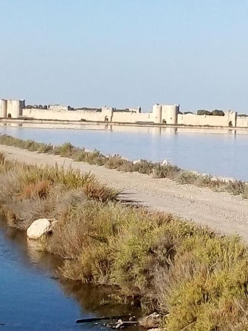 Aigues Mortes Studio De Vacances En Camargue ภายนอก รูปภาพ